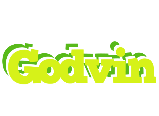 Godvin citrus logo