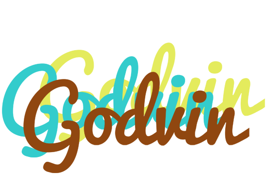 Godvin cupcake logo