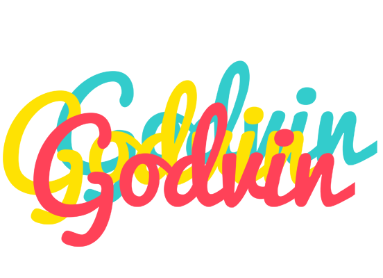Godvin disco logo