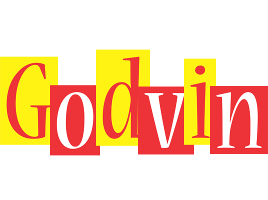 Godvin errors logo