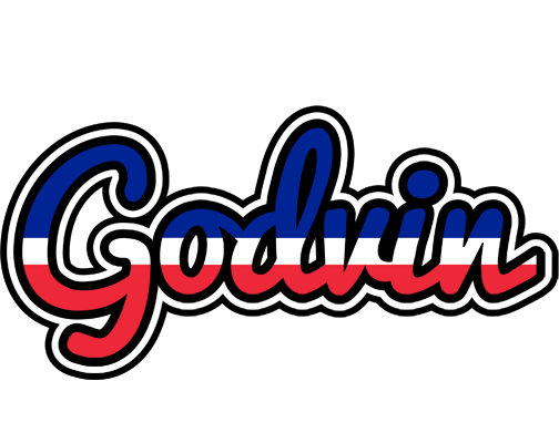 Godvin france logo