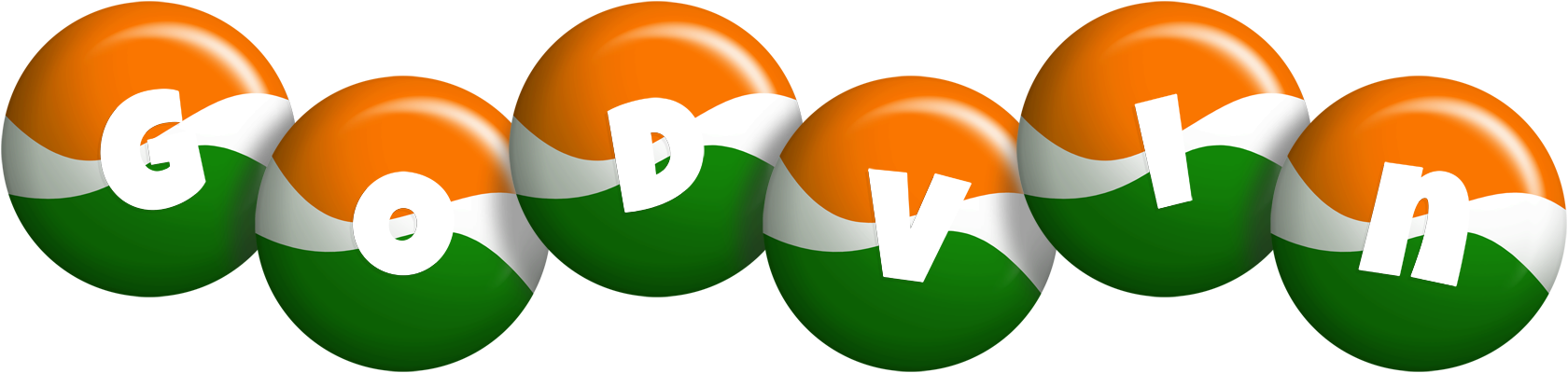 Godvin india logo
