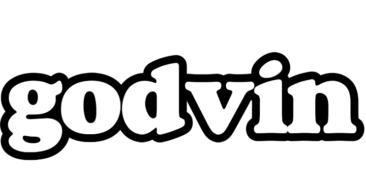 Godvin panda logo
