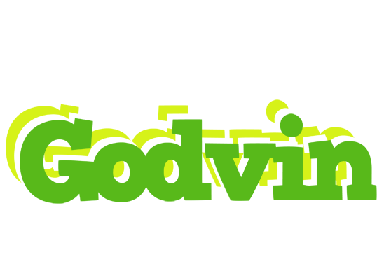 Godvin picnic logo