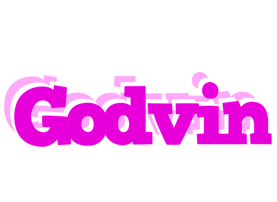 Godvin rumba logo
