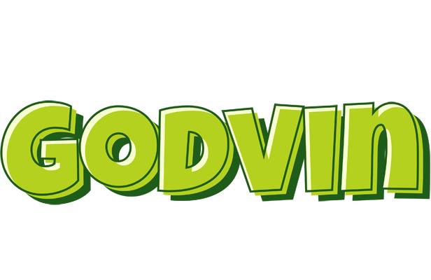 Godvin summer logo