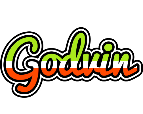 Godvin superfun logo