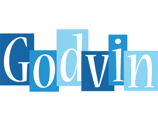 Godvin winter logo