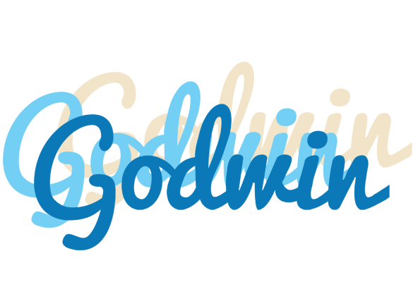 Godwin breeze logo