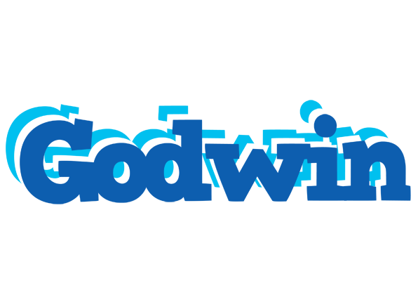 Godwin business logo