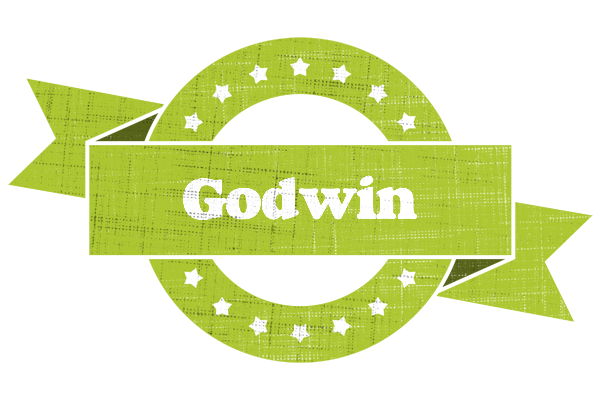 Godwin change logo