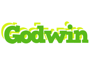 Godwin picnic logo