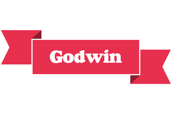 Godwin sale logo