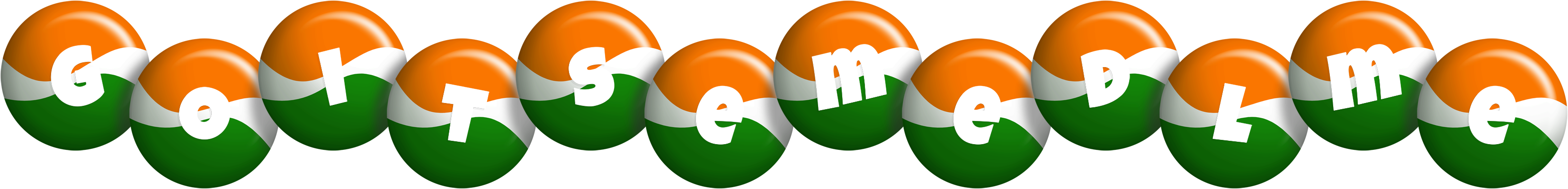 Goitsemedlme india logo