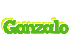 Gonzalo picnic logo