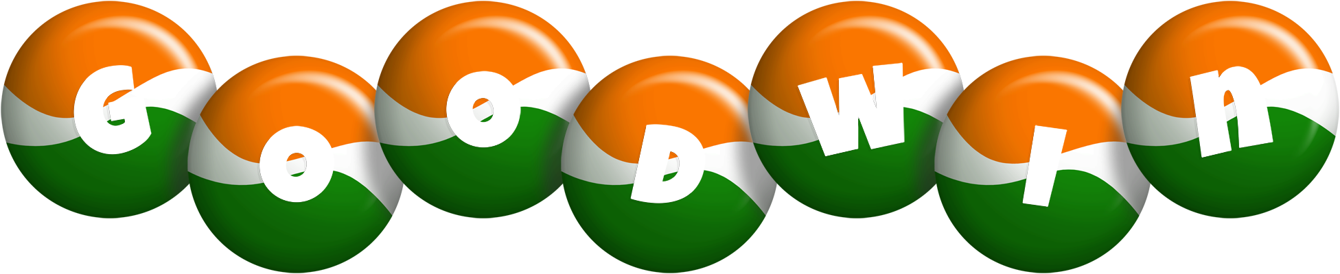 Goodwin india logo