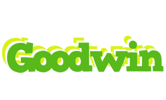 Goodwin picnic logo