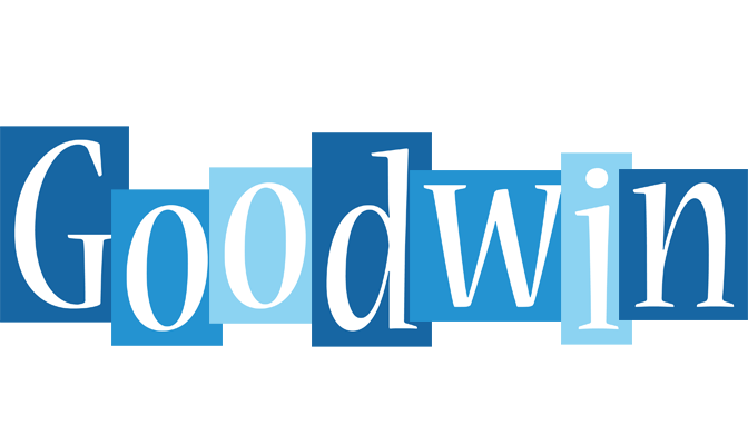 Goodwin winter logo