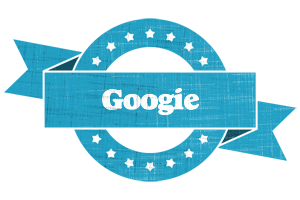 Googie balance logo