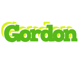 Gordon picnic logo