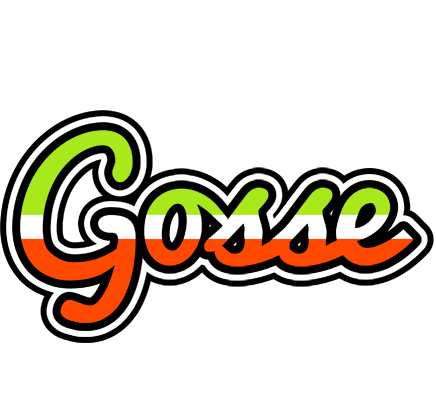 Gosse superfun logo