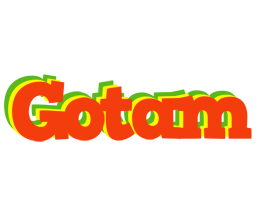 Gotam bbq logo