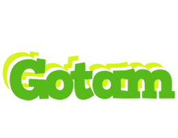 Gotam picnic logo