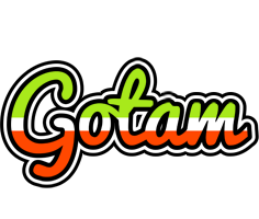 Gotam superfun logo