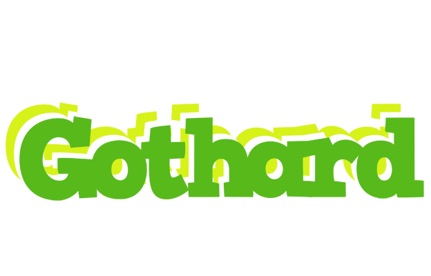Gothard picnic logo