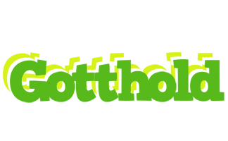 Gotthold picnic logo