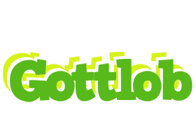 Gottlob picnic logo