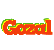 Gozal bbq logo