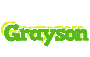 Grayson picnic logo