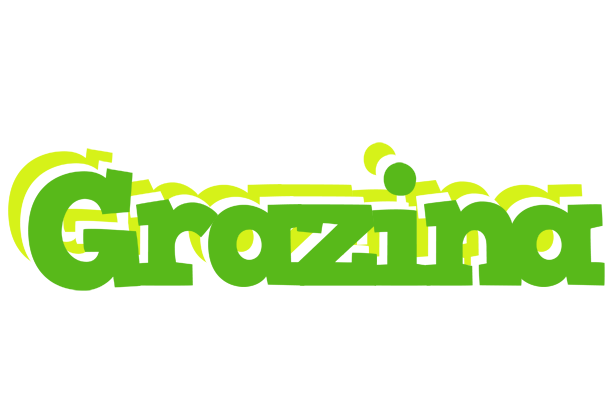 Grazina picnic logo