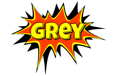 Grey bazinga logo