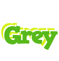 Grey picnic logo