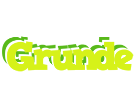 Grunde citrus logo