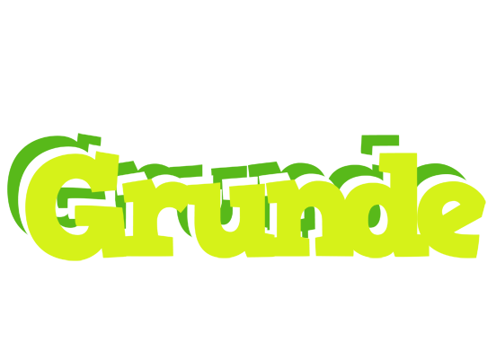 Grunde citrus logo