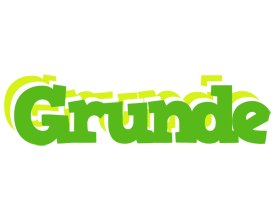 Grunde picnic logo