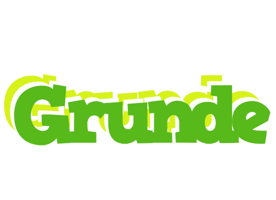 Grunde picnic logo