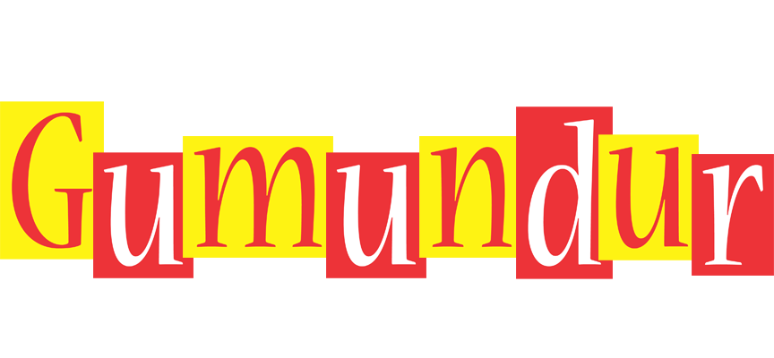 Guðmundur errors logo