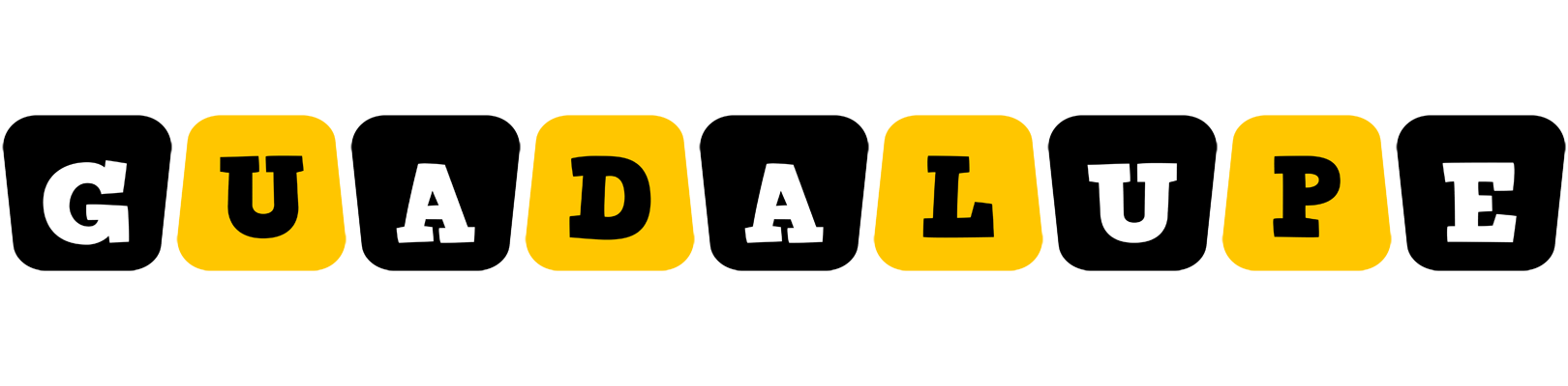 Guadalupe boots logo