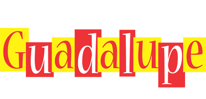 Guadalupe errors logo