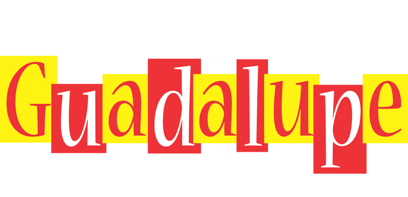 Guadalupe errors logo