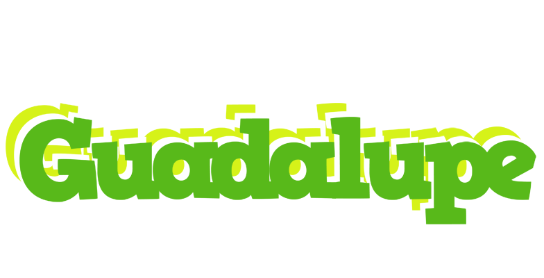Guadalupe picnic logo