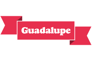 Guadalupe sale logo