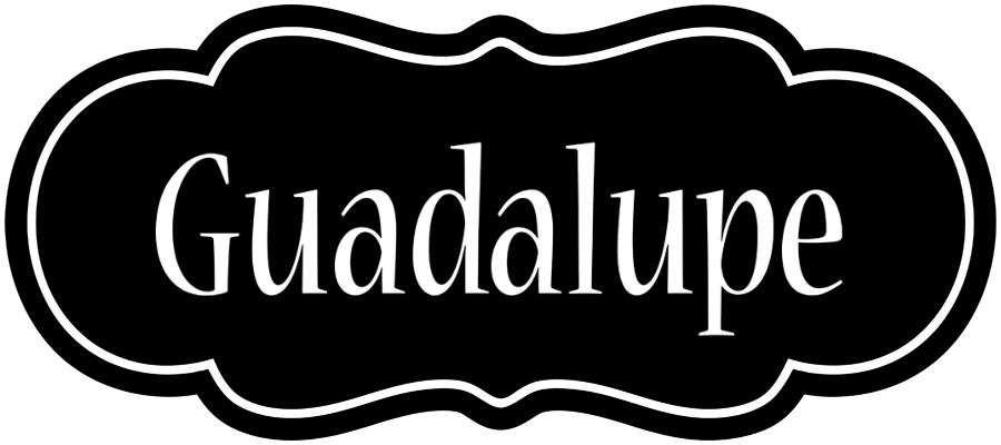 Guadalupe welcome logo