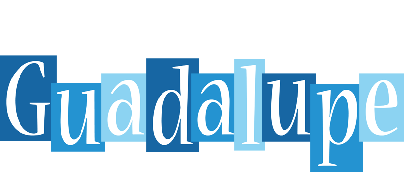 Guadalupe winter logo