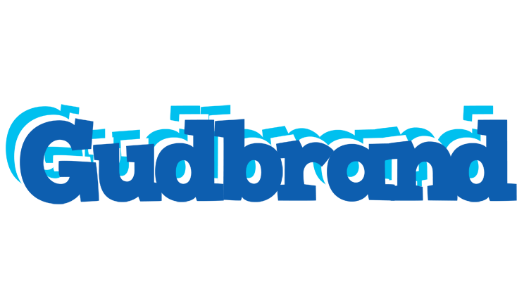 Gudbrand business logo