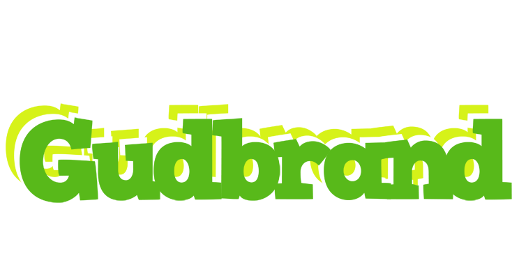 Gudbrand picnic logo